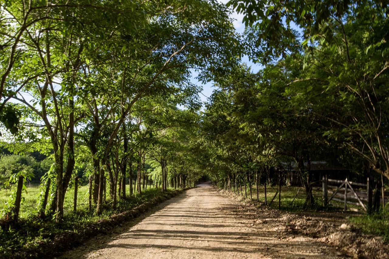 Villas Adriana, Palenque Dış mekan fotoğraf